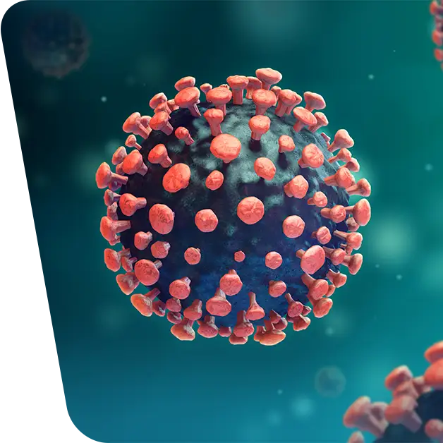 Masuri de prevenire impotriva infectarii cu virusul Covid-19