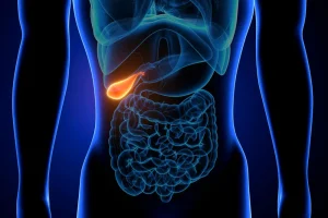 The image highlights the location of the gallbladder and illustrates what it looks like. Learn more about gallstones and treatment options in our specialized article.