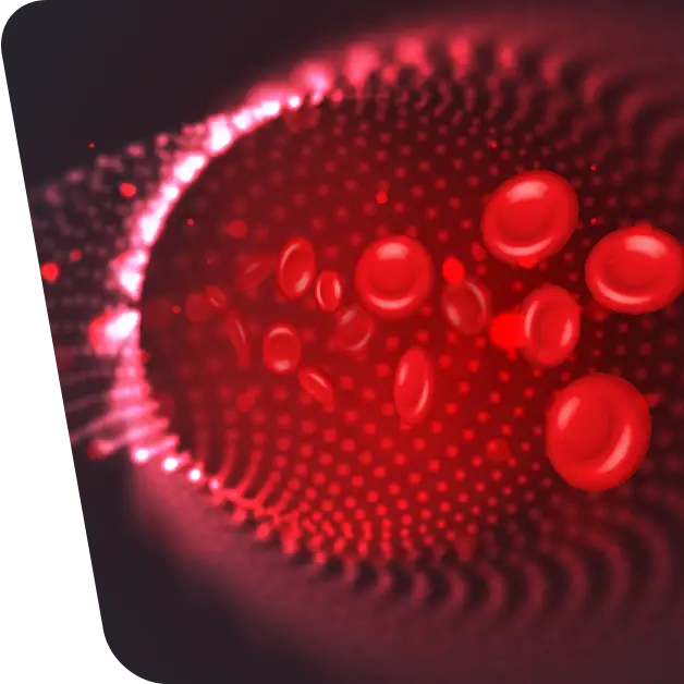 Imaginea surprinde fluxul sanguin în vene, evidențiind detaliile acestei imagini în contextul tratamentului varicelor cu radiofrecvență. Aflați mai multe despre importanța monitorizării fluxului sanguin și beneficiile acestei tehnici în articolul nostru specializat.