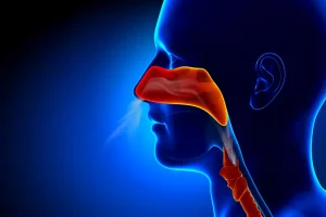 Image for the article Causes of Rhinosinusitis and Benefits of Functional Rhinoseptoplasty Surgery