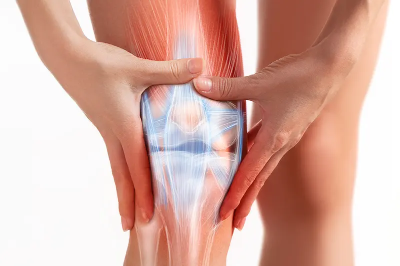 Discover the best collagen for knees and its benefits in reducing joint pain and maintaining flexibility.