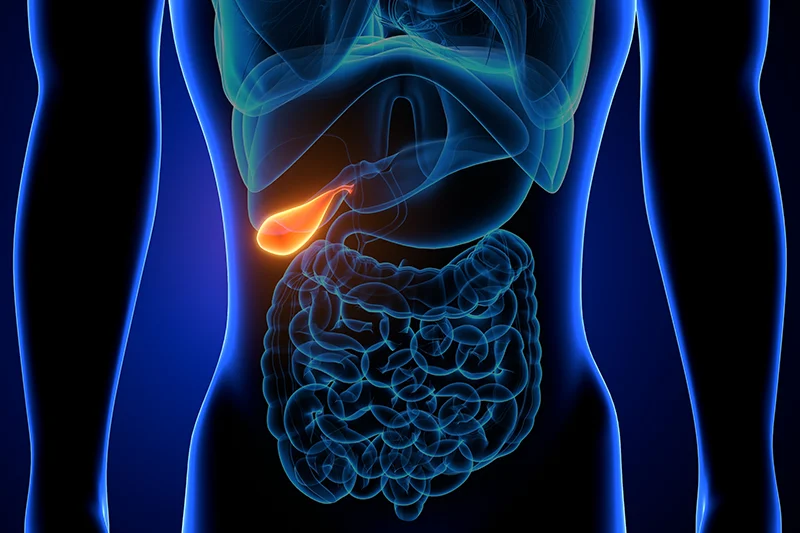 Representative picture for Gallbladder Surgery at the VenArt Clinic